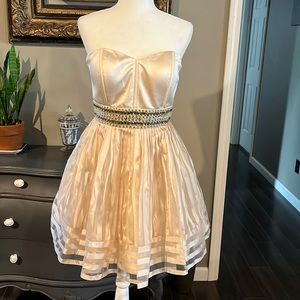 Rachel Allan Sweetheart Neck Strapless Short Fit and Flare Dress in Cham…